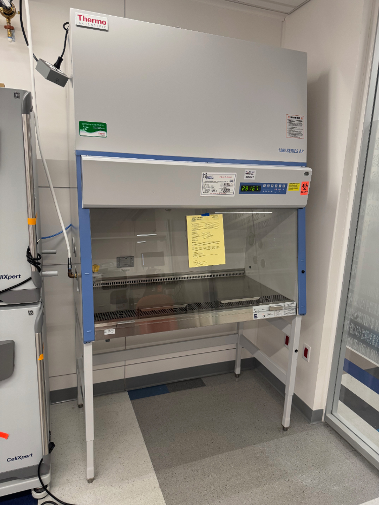 Image of Thermo 1300 Series A2 4' Biosafety Cabinet